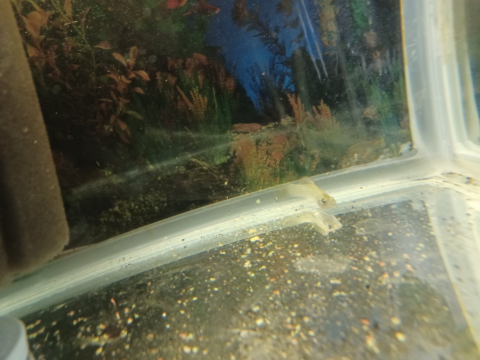 20220920_165729.jpg