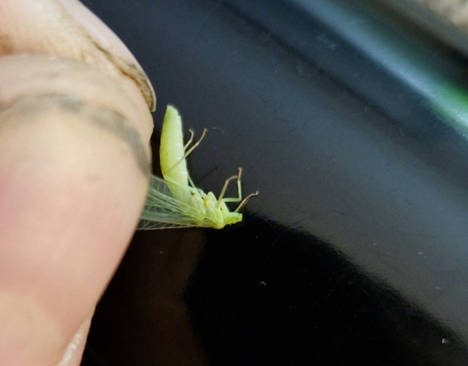 20221012_180724.jpg