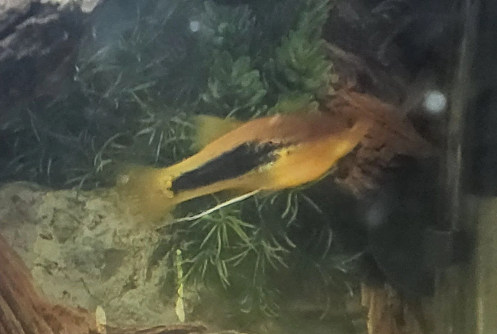 20221214_144525.jpg