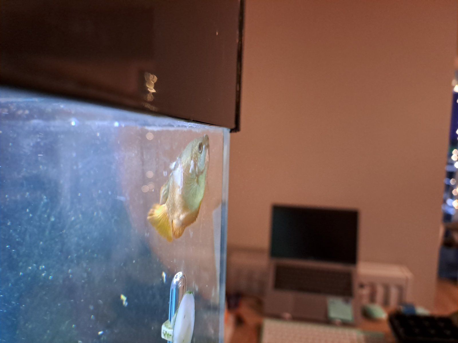20221220_203225.jpg