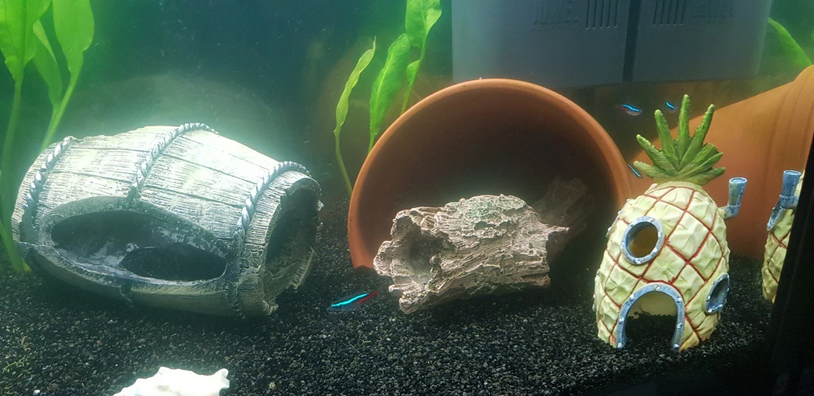 20230130_160157.jpg