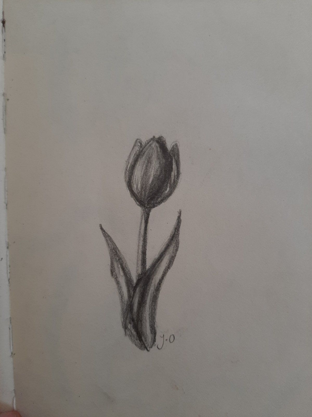 20230409_130810.jpg