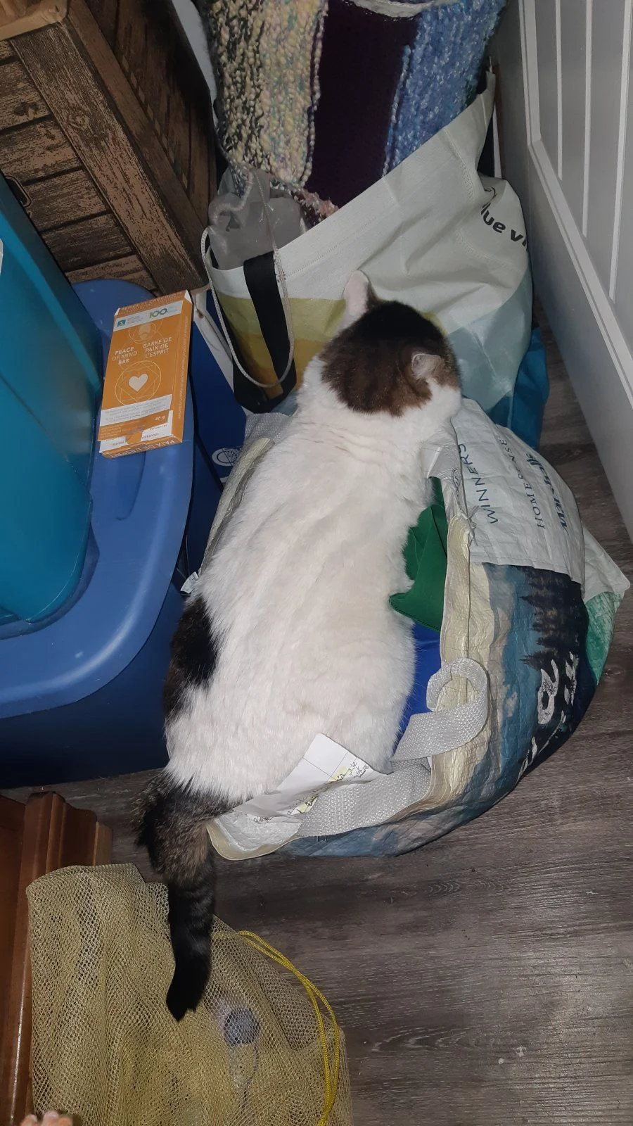 20230414_195128.jpg