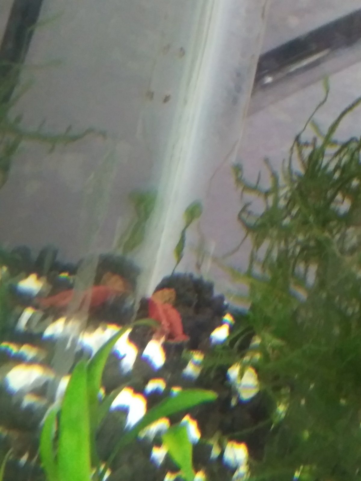 20230515_074447.jpg