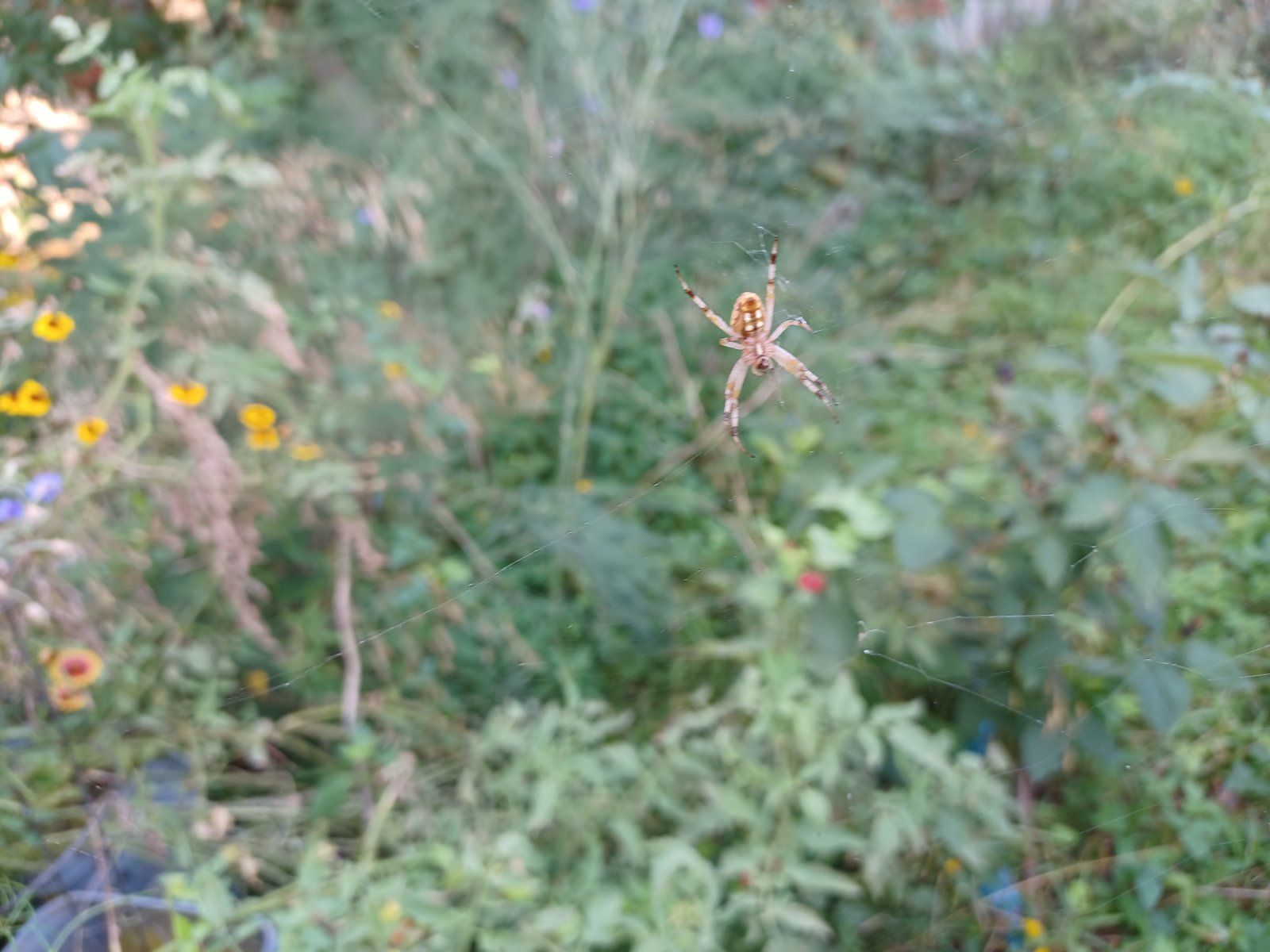 20230623_075939.jpg