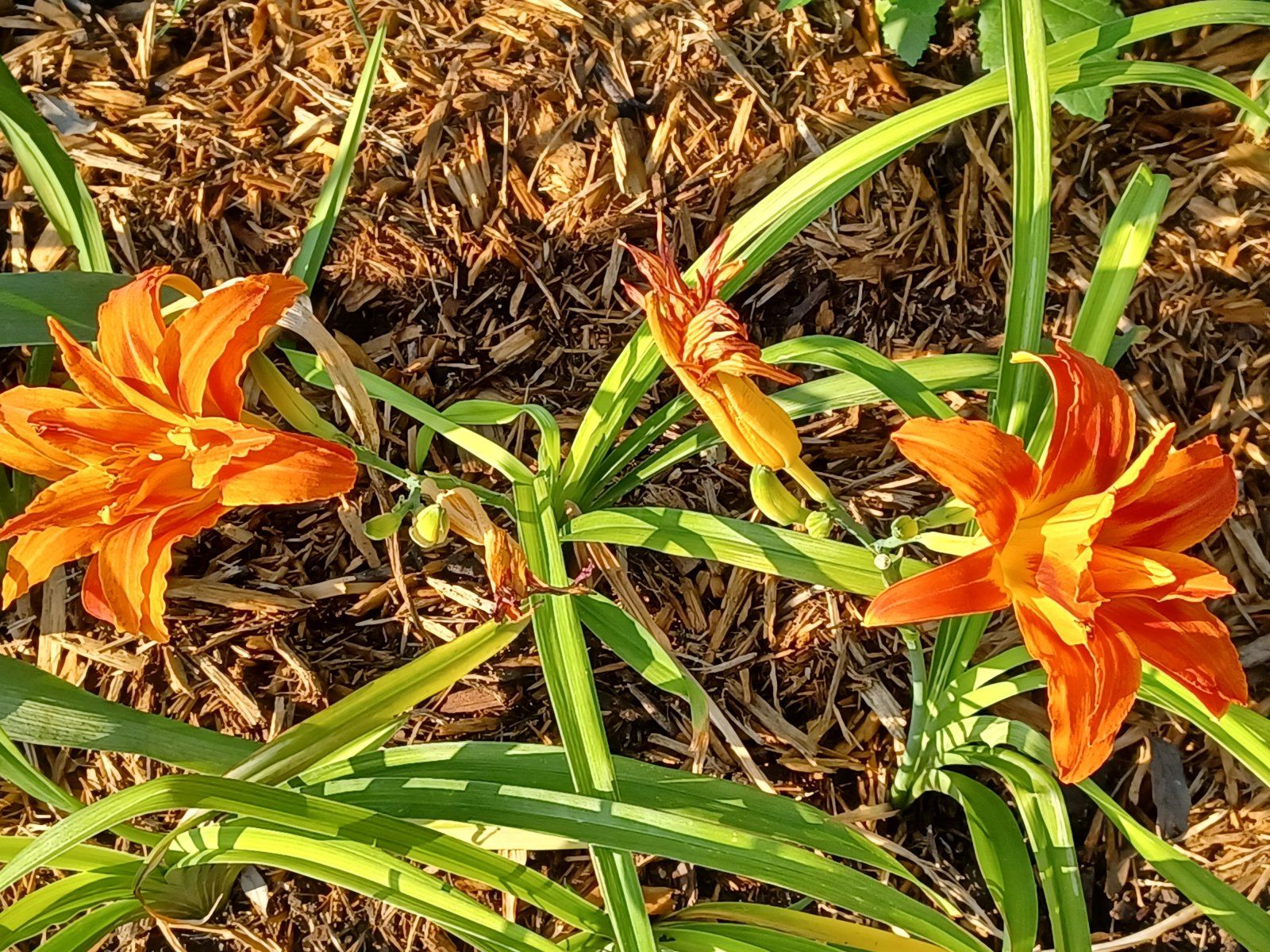20230624_080154.jpg