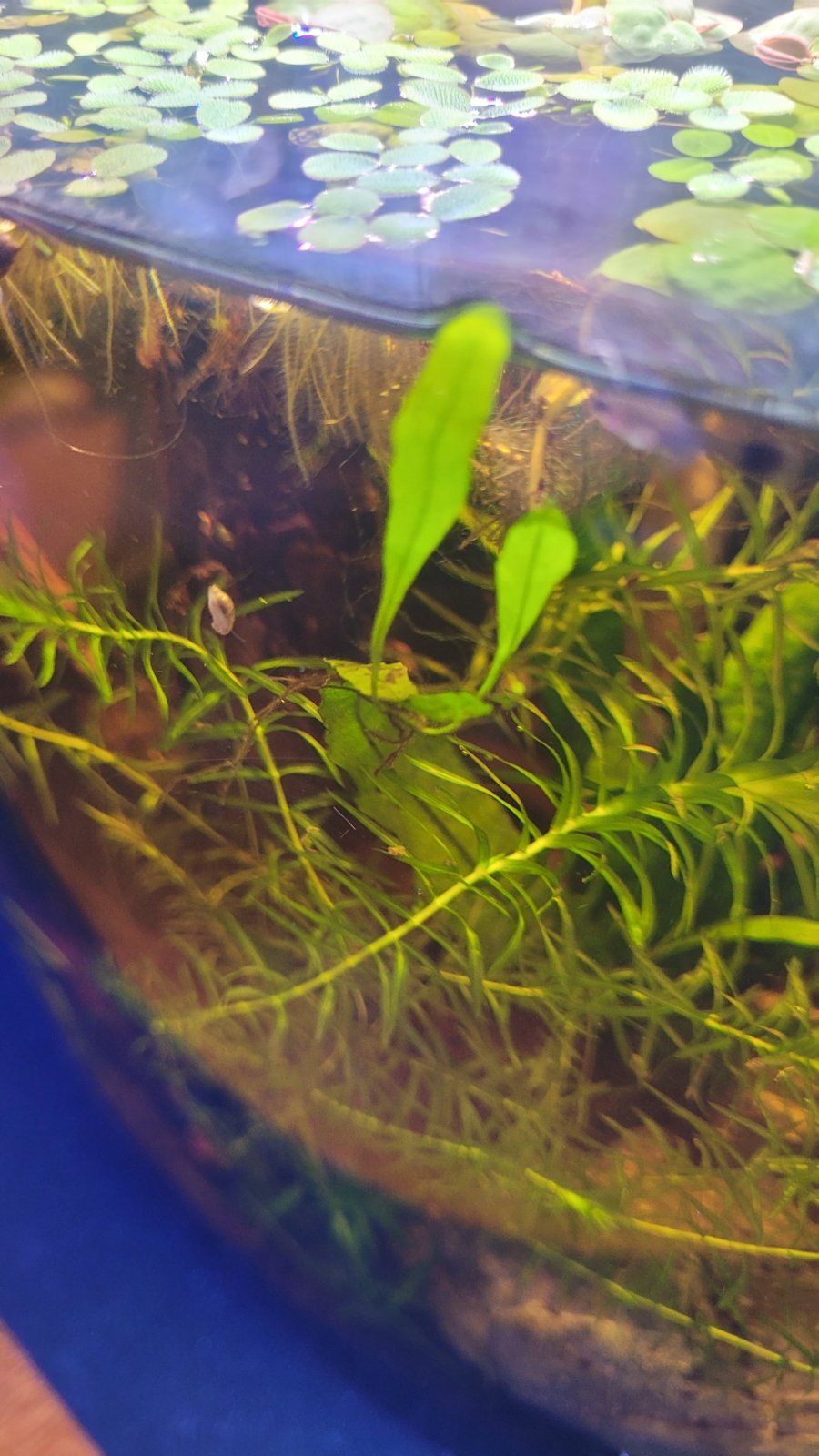 20230709_150719.jpg