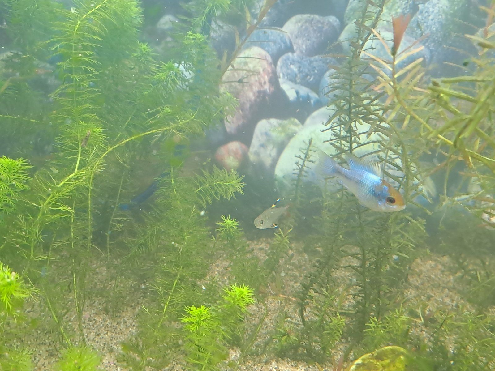 20230718_195716.jpg