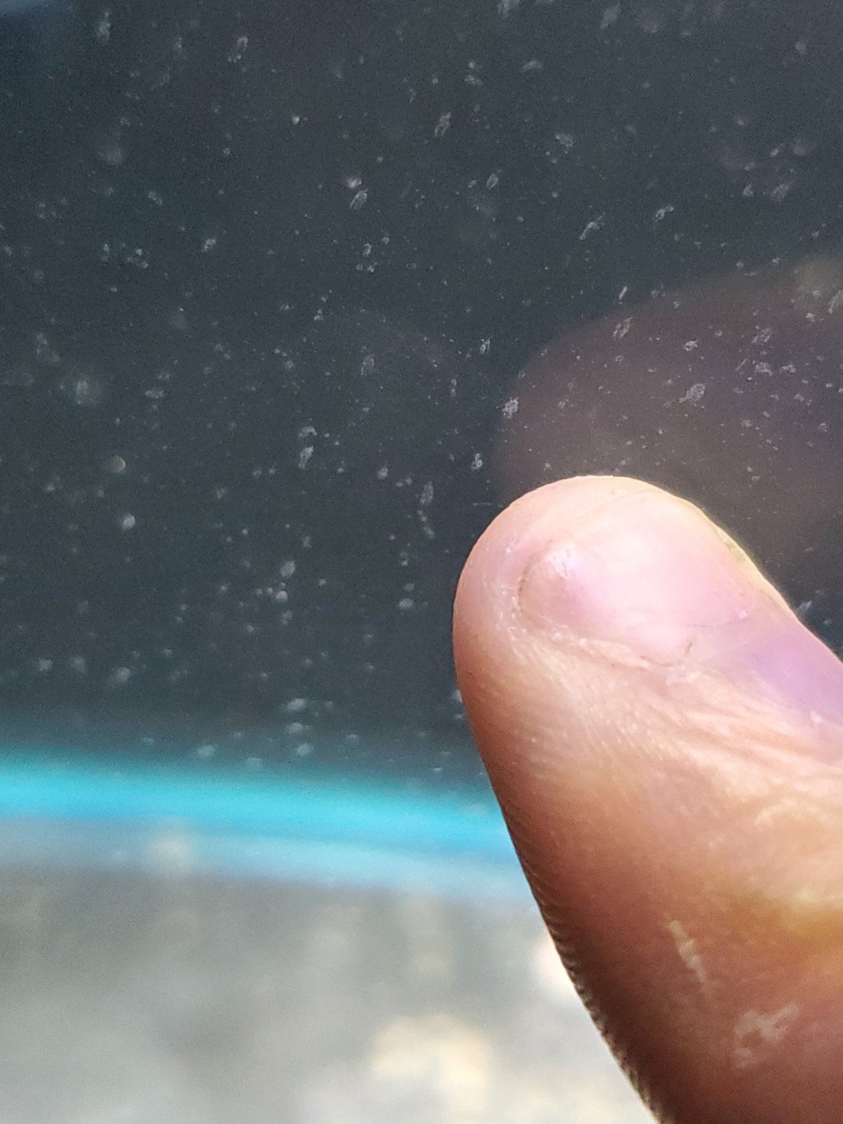20230727_003855.jpg