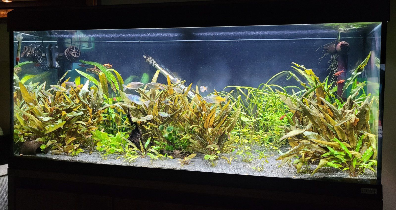 20230918_212227.jpg