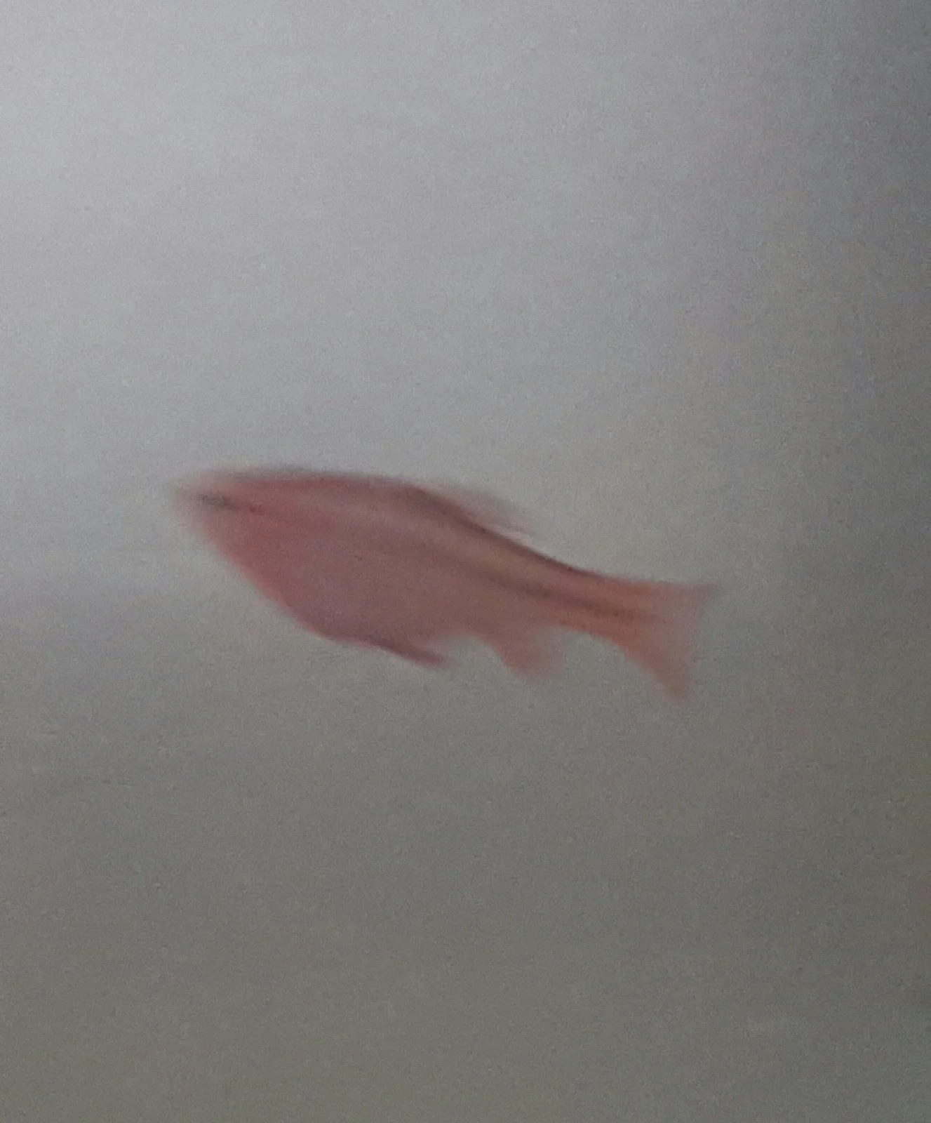 20240413_131250.jpg