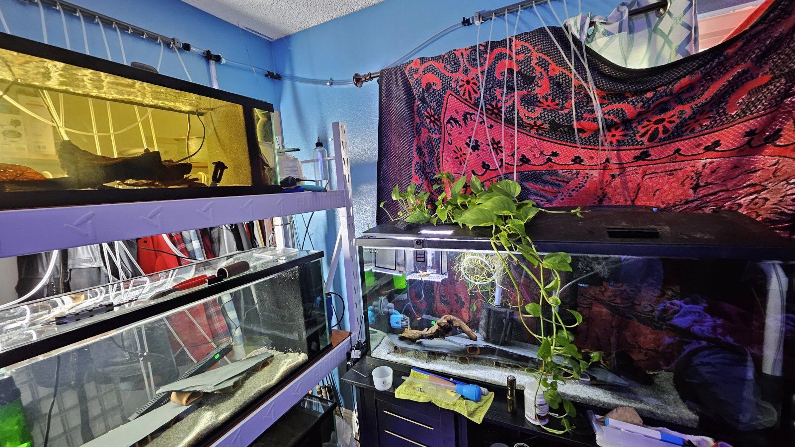 20240416_141052.jpg