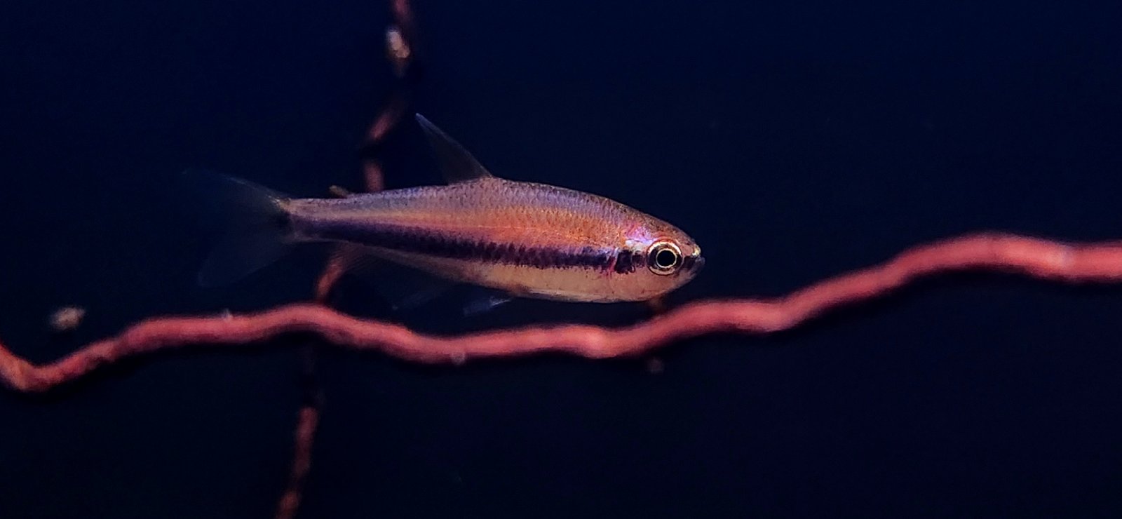 20240719_203131.jpg