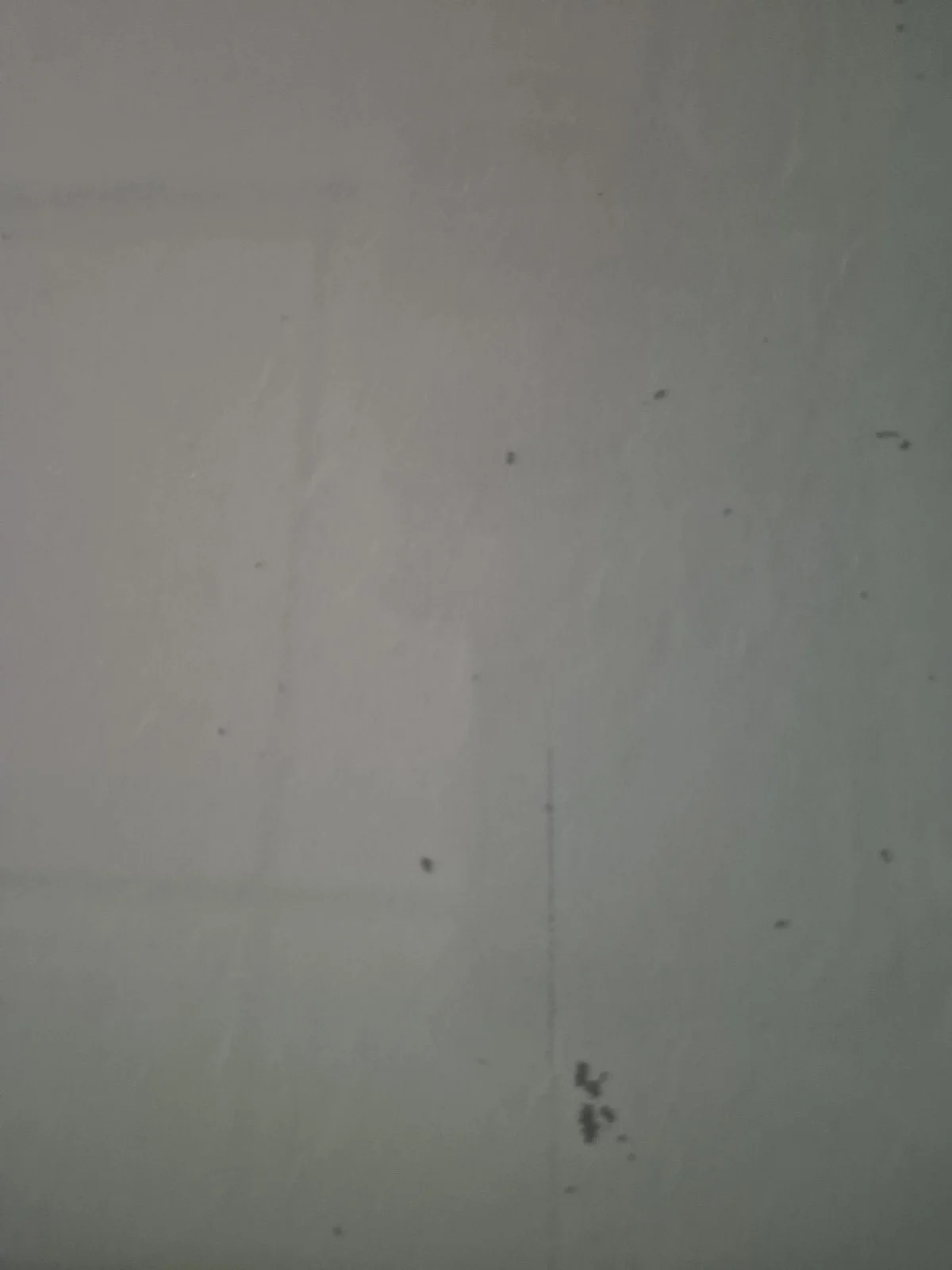 20240725_174959.jpg