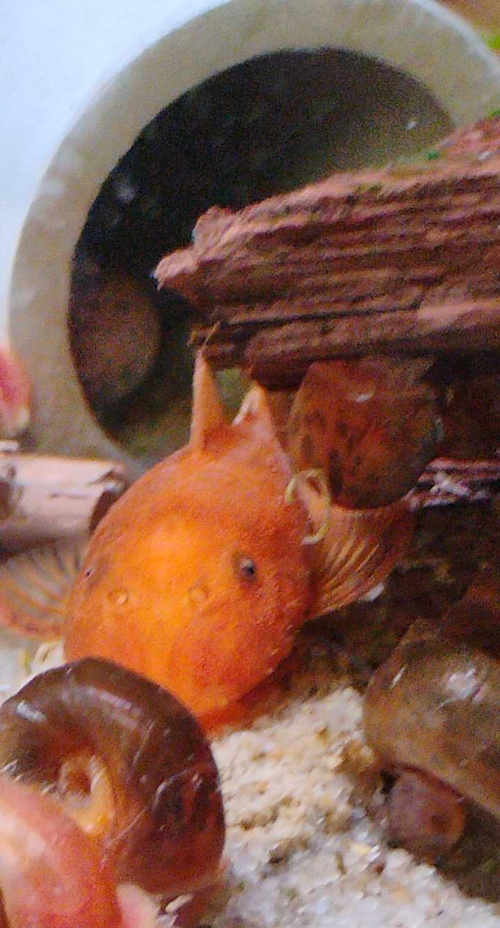 2025-10-26 13-14-24.jpg