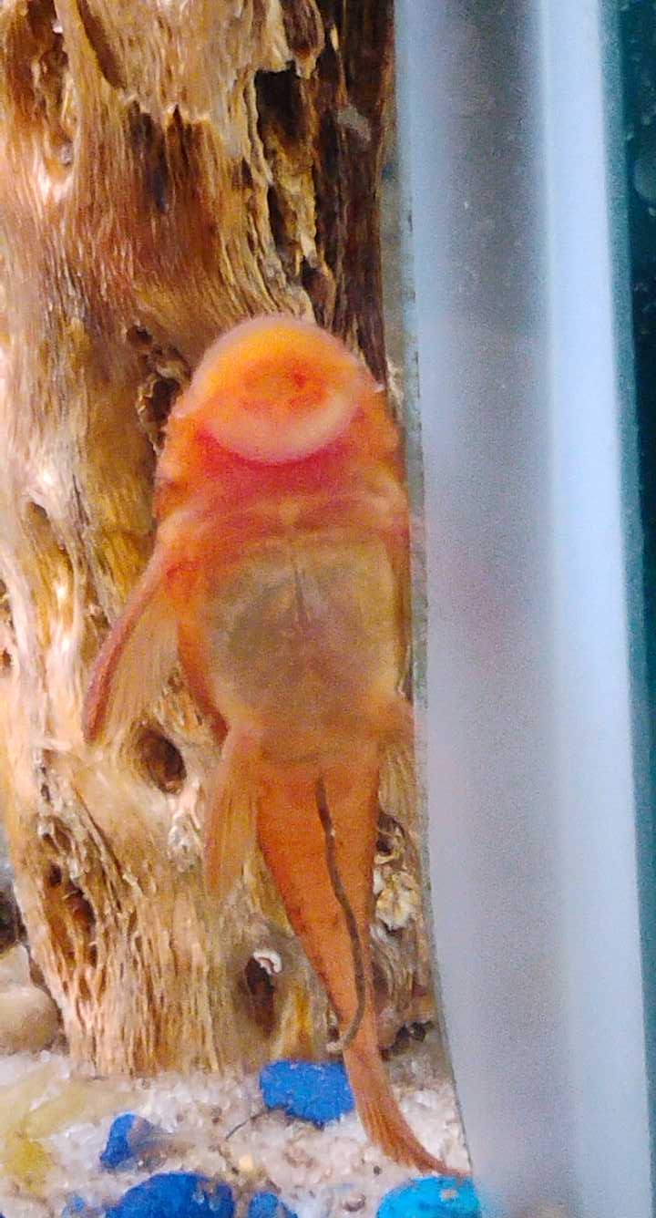 2025-10-26 13-19-14.jpg