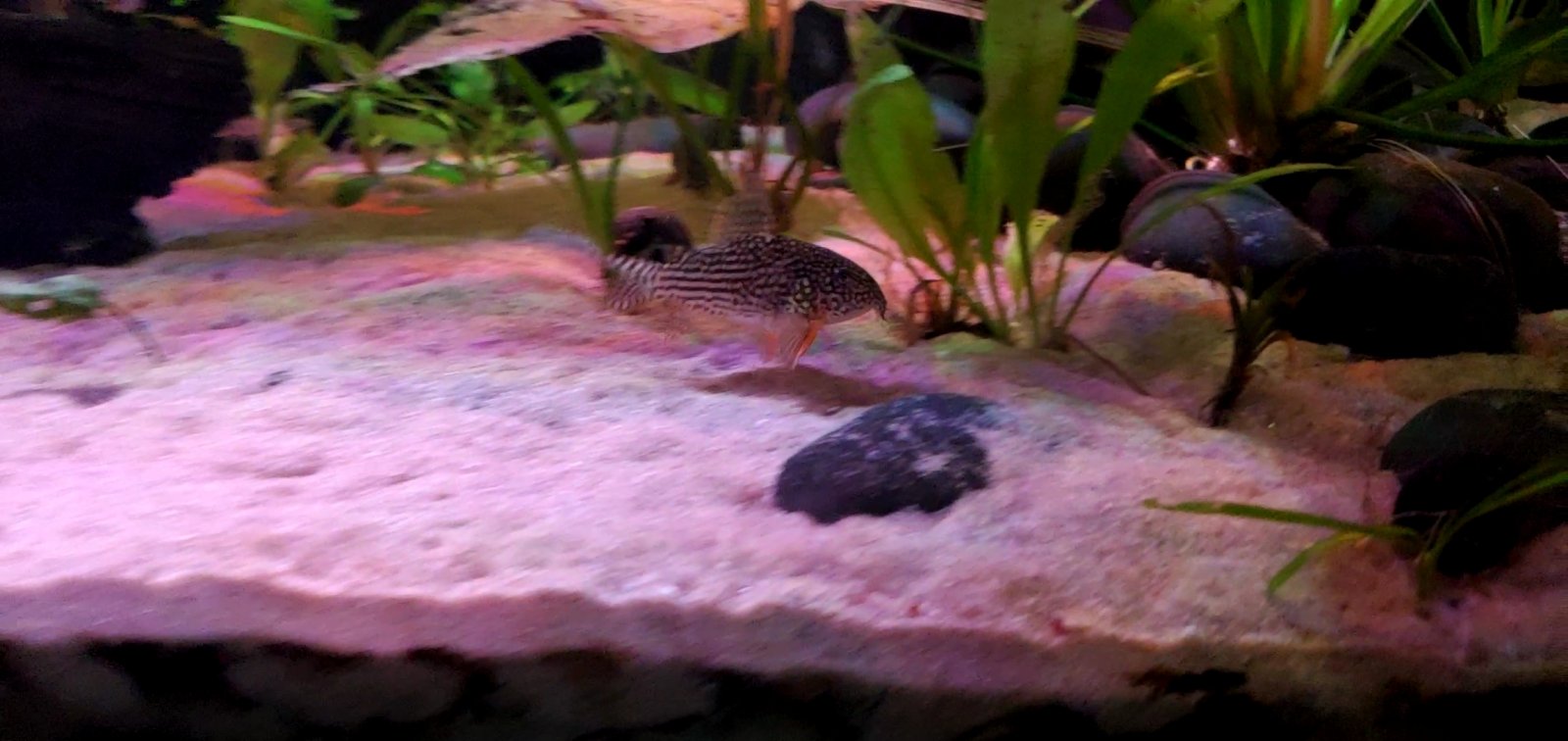 20250101_115756_capture(0).jpg