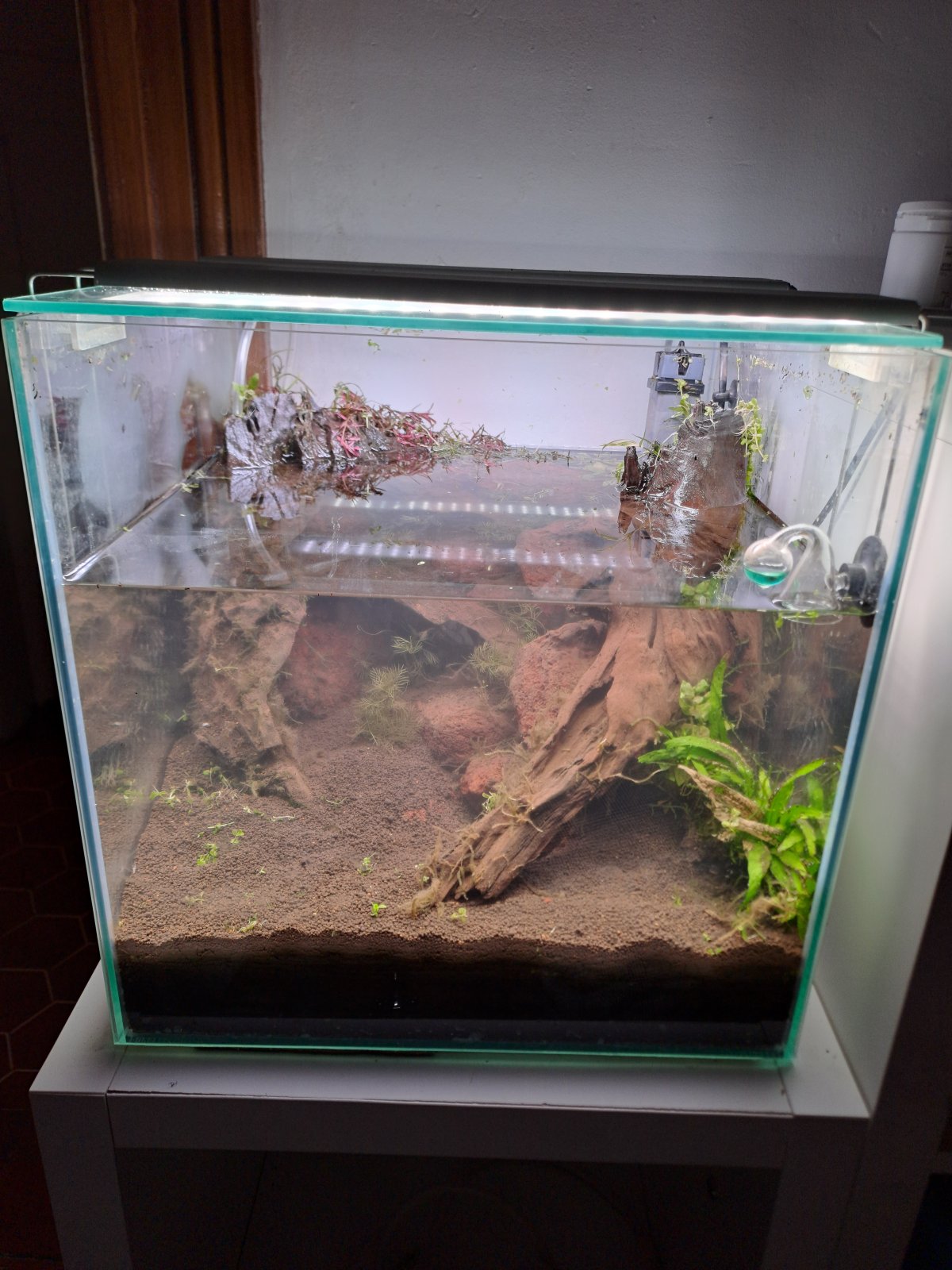 20250127_215458 (1).jpg