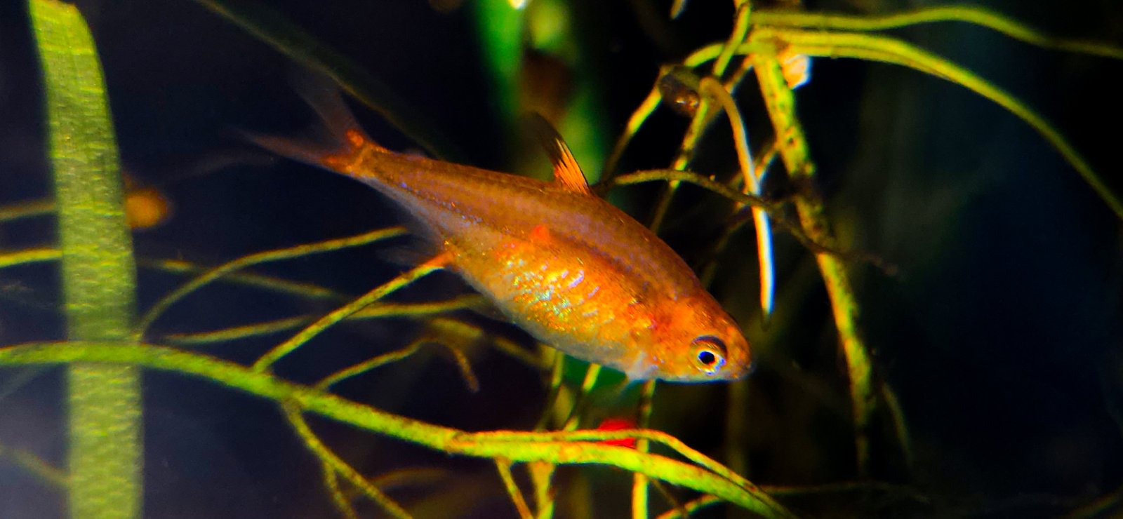 20250219_013248 (1).jpg