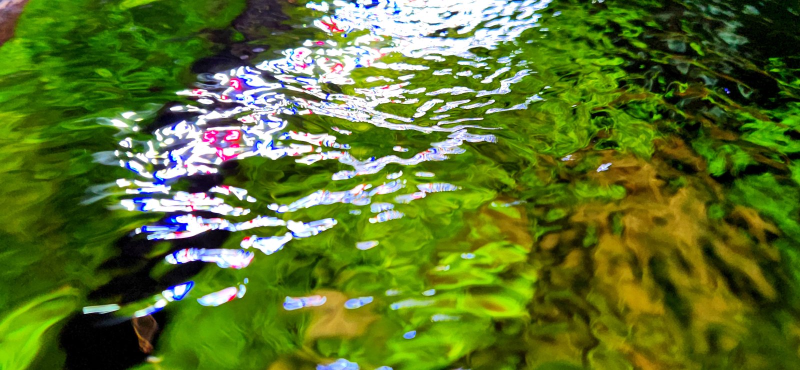 20250228_230359.jpg