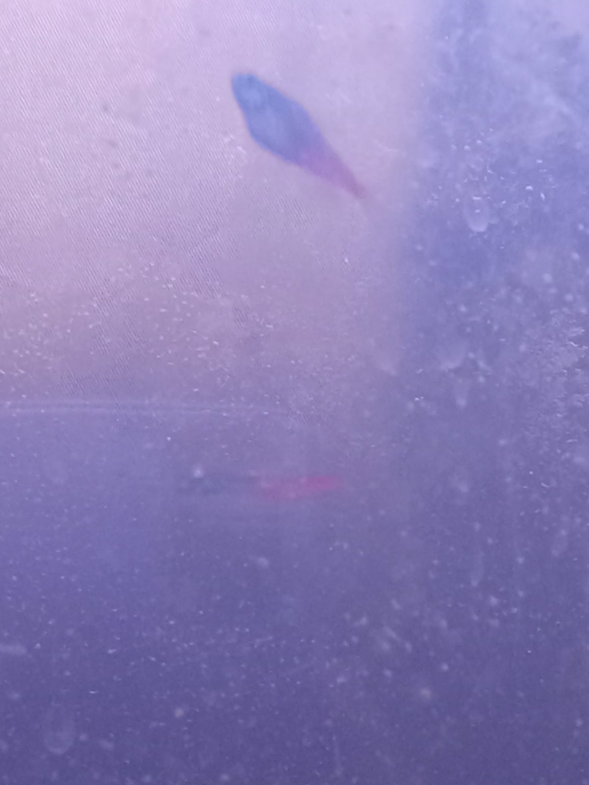 20250313_081233.jpg