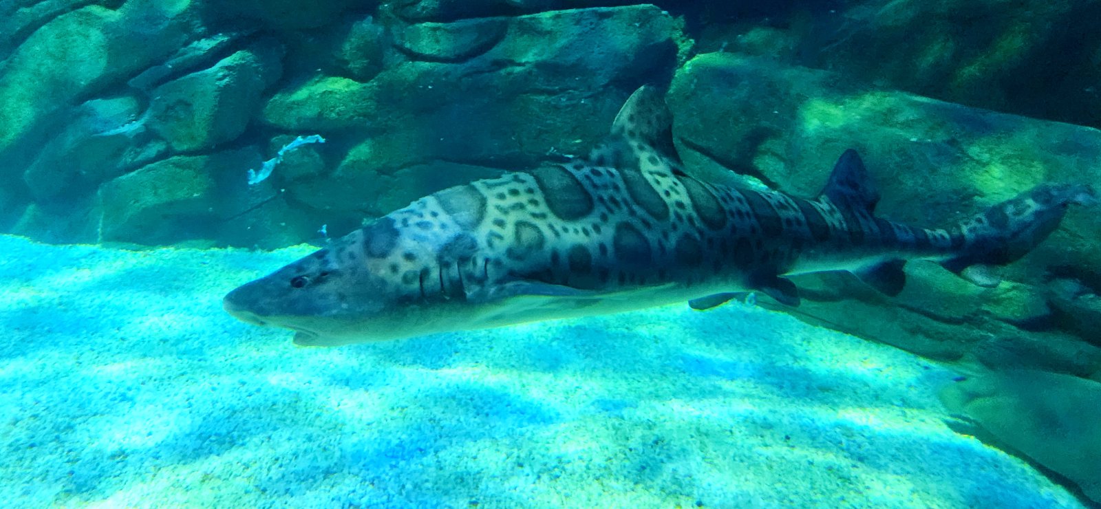 20250525_121711.jpg