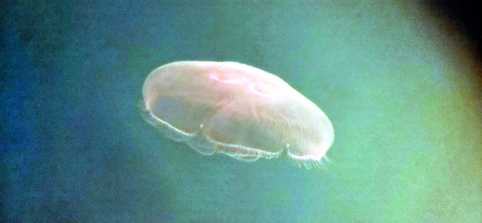 20250525_122210.jpg