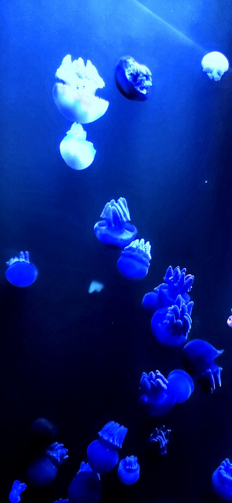 20250525_122422.jpg