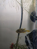 20250731_091259.jpg