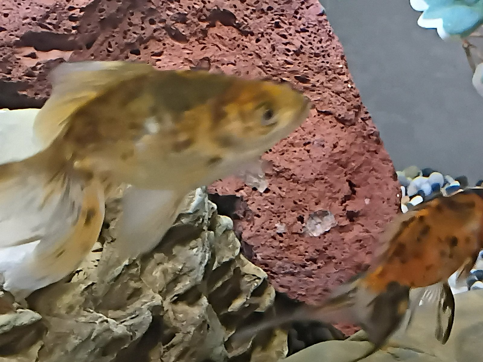 20250901_103737.jpg
