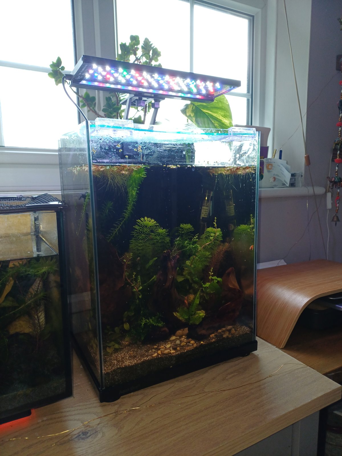 20250918_160137.jpg