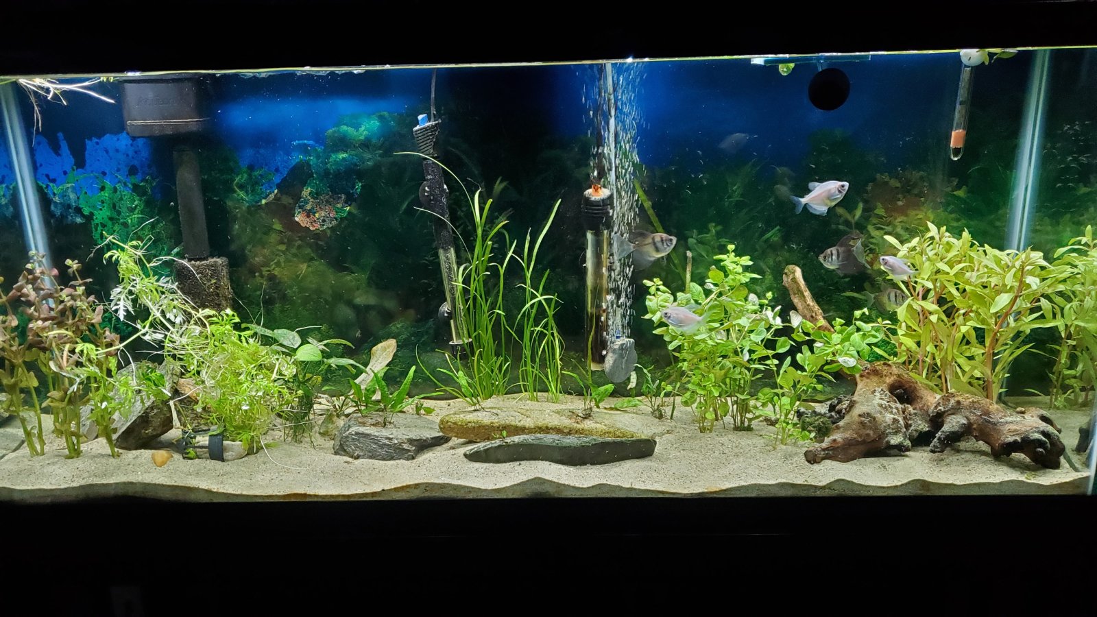 20251001_183352.jpg