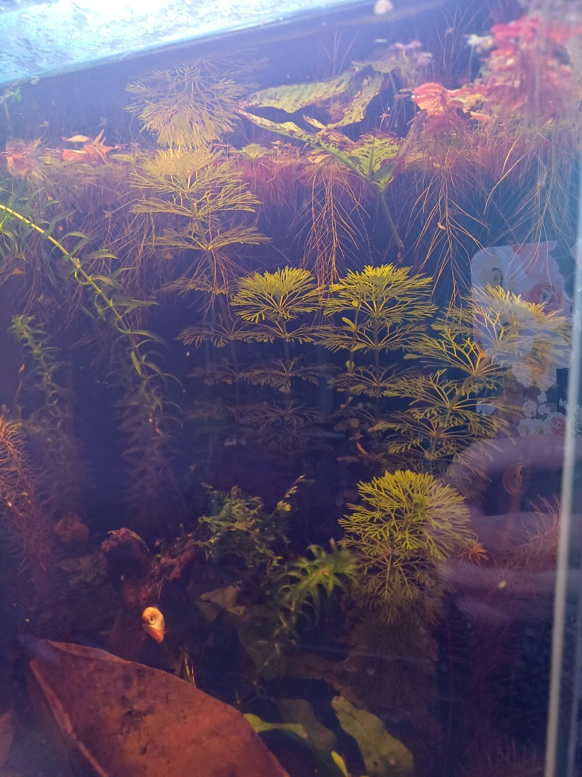 20251005_104456.jpg