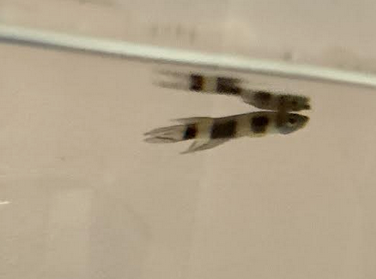 2026-03-08 15.32.01.png