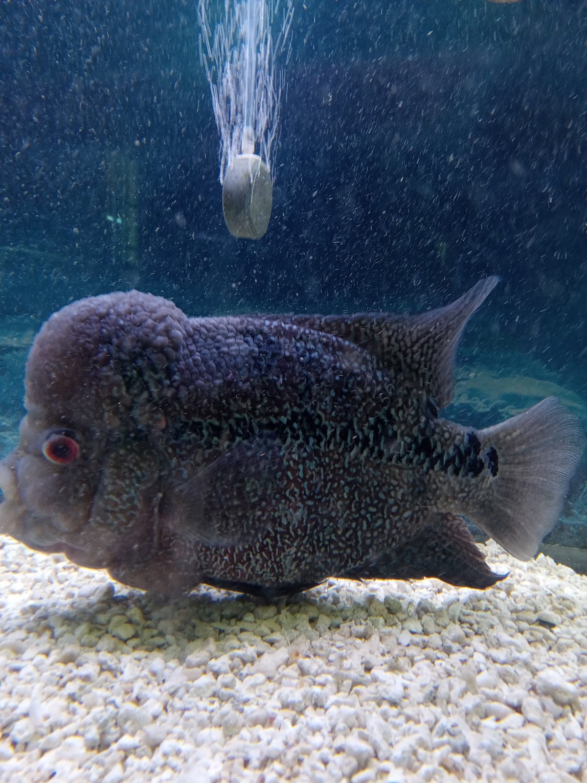 20260118_112644 - Copy (3).jpg