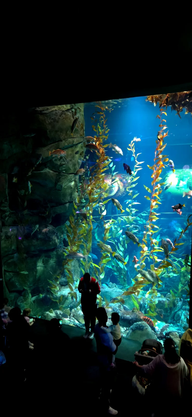20260524_172232.webp