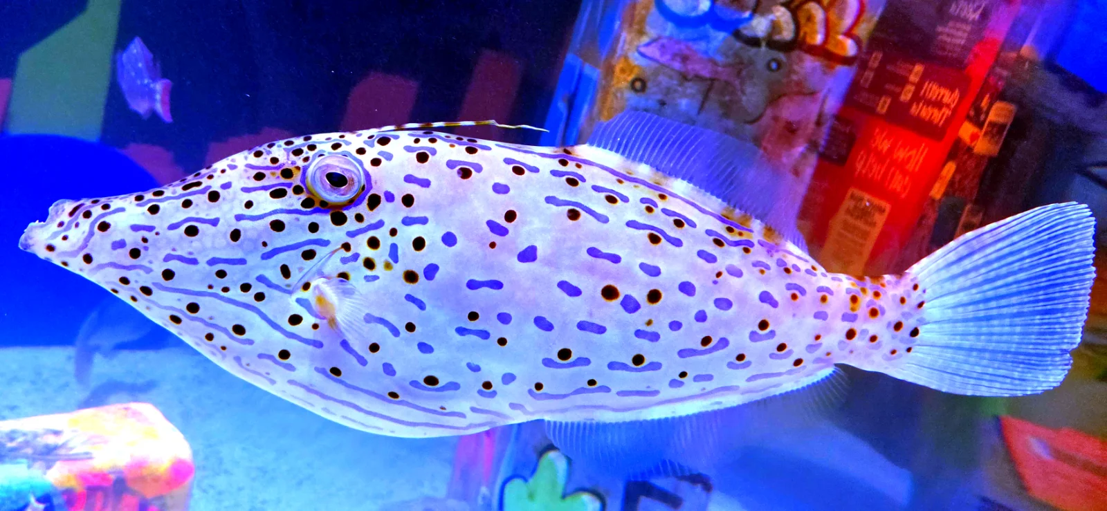 20260524_181050.webp