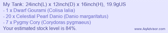 20g_Dwarf_2.png
