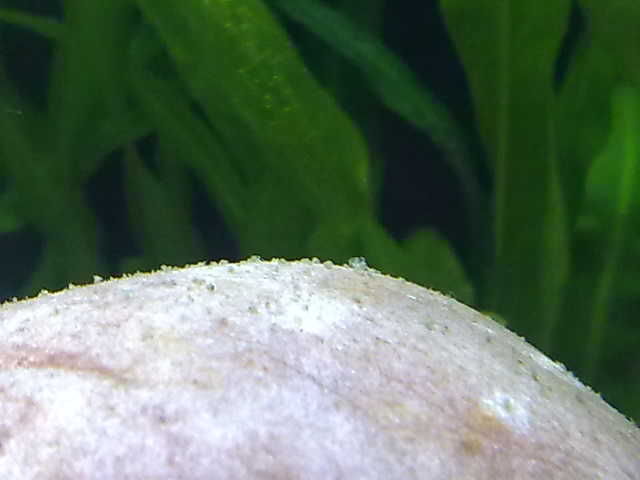 23012011067.jpg
