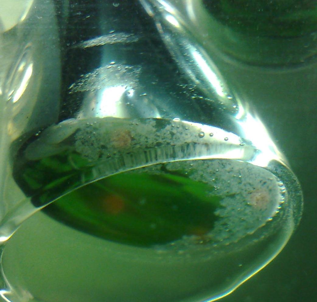 251020111509 - COPY_crop_crop.jpg
