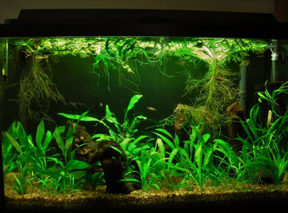 29g Sep 19-11.JPG