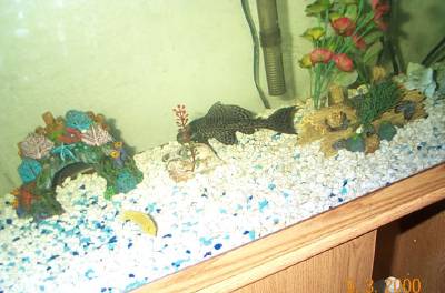 2_batch_of_pictures_039.jpg
