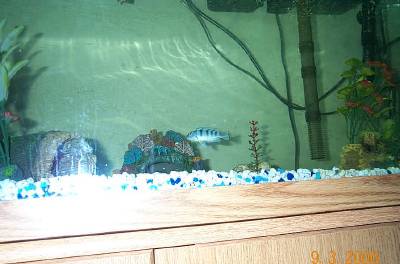 2_batch_of_pictures_041.jpg