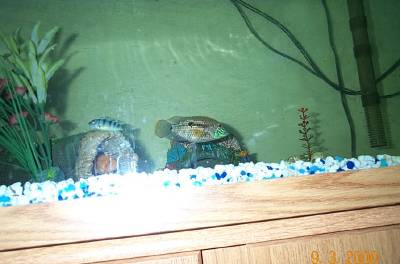 2_batch_of_pictures_042.jpg