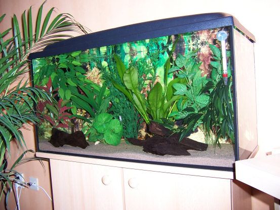 30gallon.JPG
