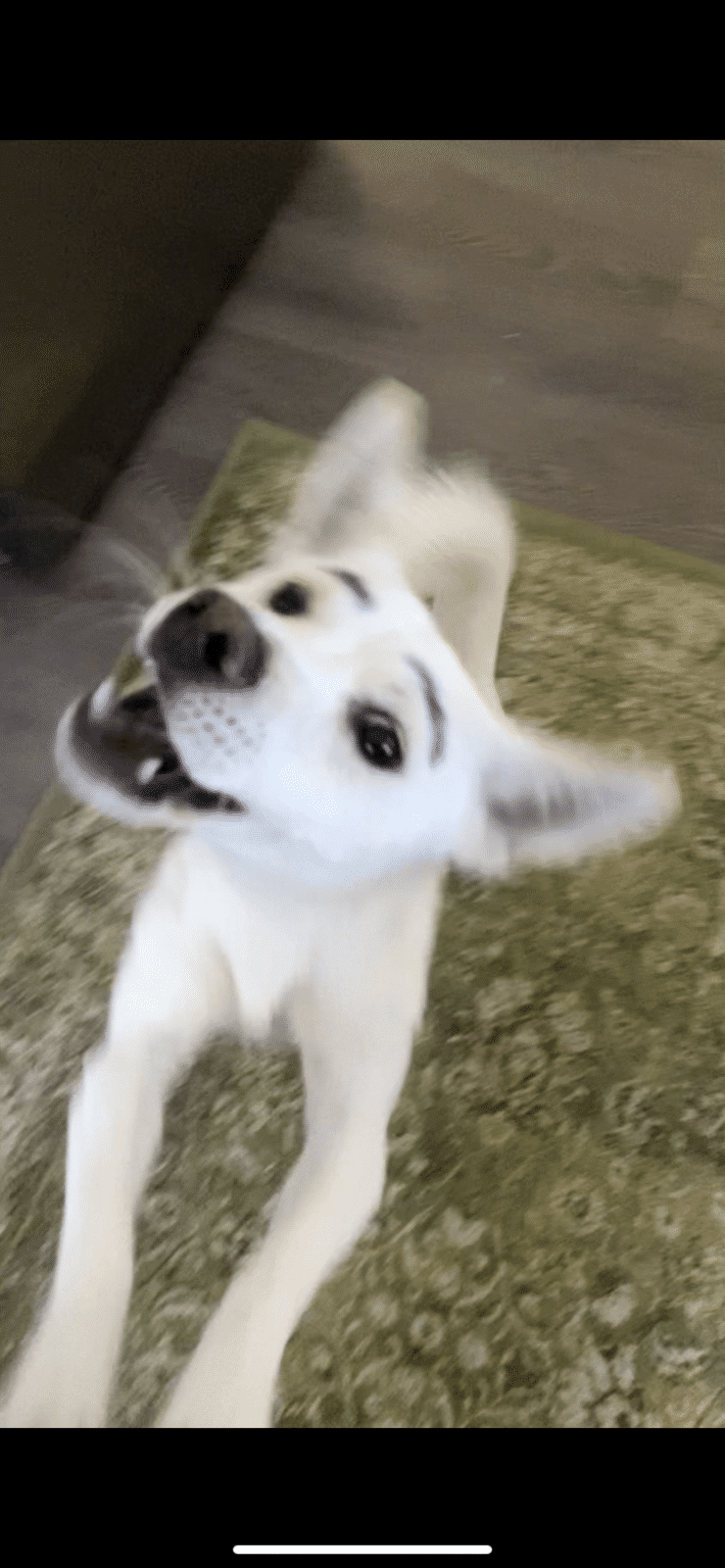 3C38607F-AF57-47B2-A3AE-AB560123581C.png