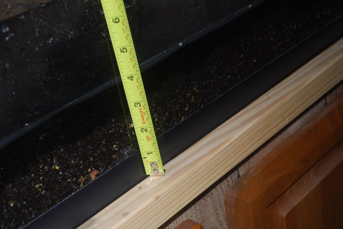 4 inches total depth of substrate with BDBS and Aquasoil.jpg