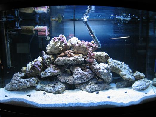 46_Gallon_SW_Start.jpg