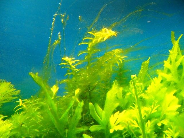 4__640_x_480_.jpg