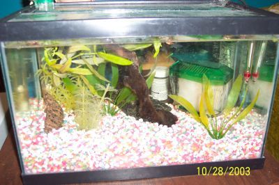 4gallon.jpg